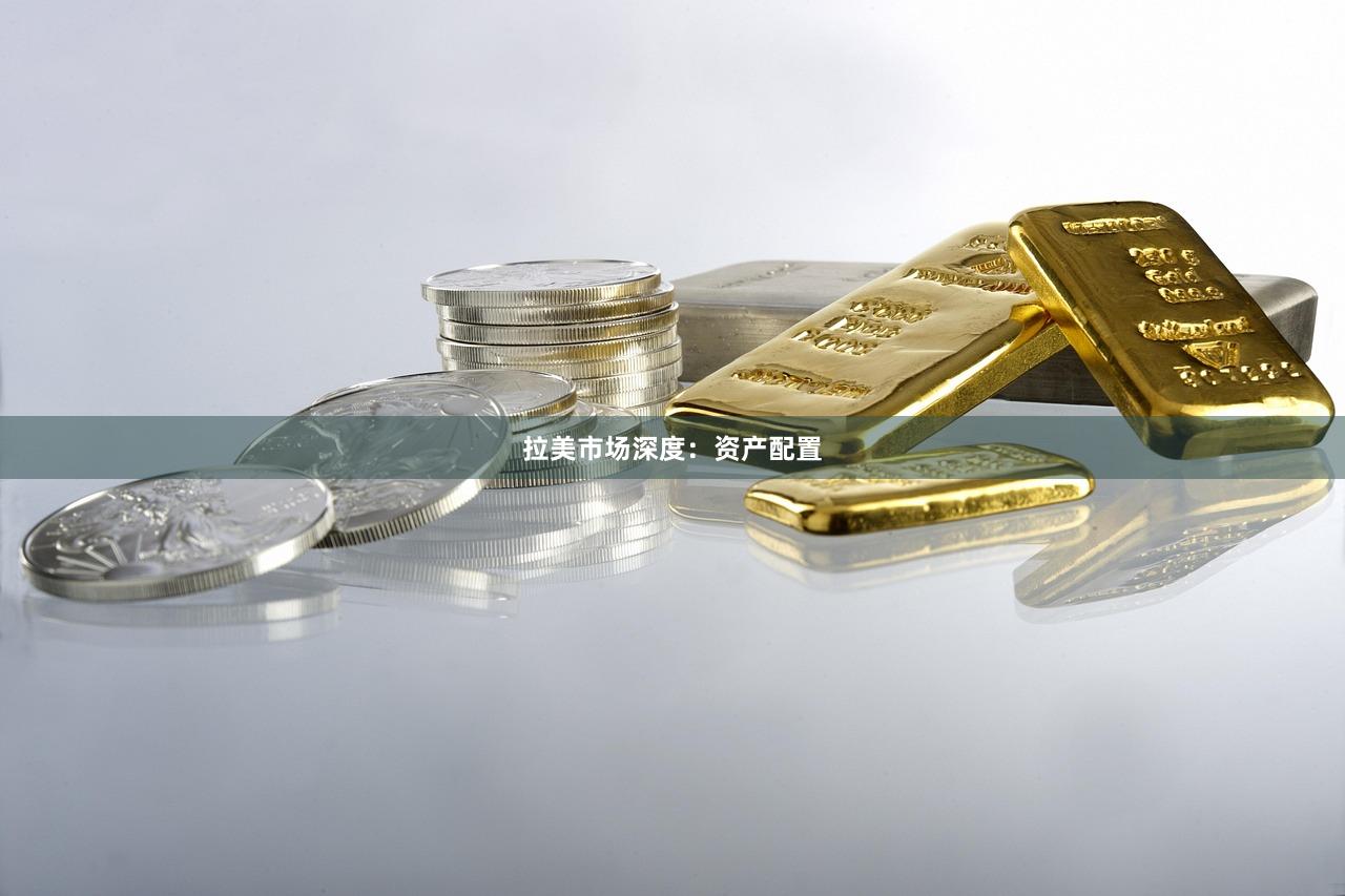 拉美市场深度：资产配置